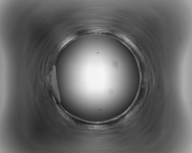 X0000086231281200704121908