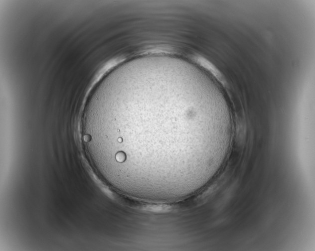 X0000086231282200704121908