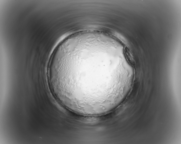 X0000086231283200704121908