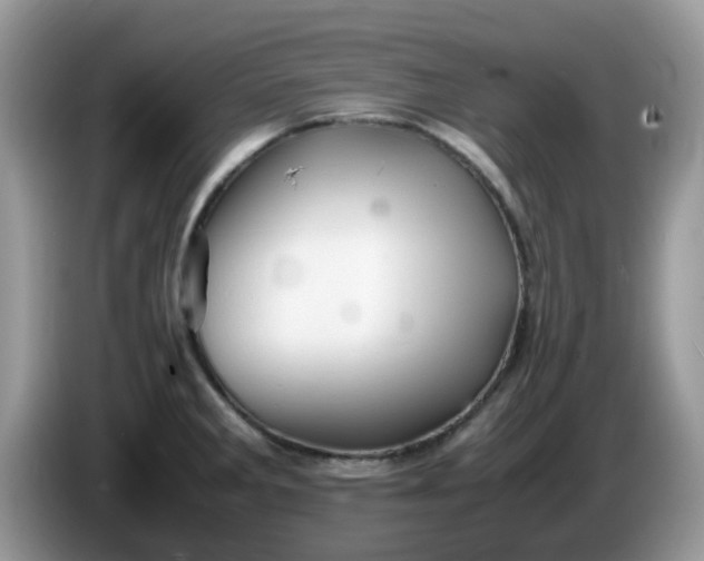 X0000086231285200704121908