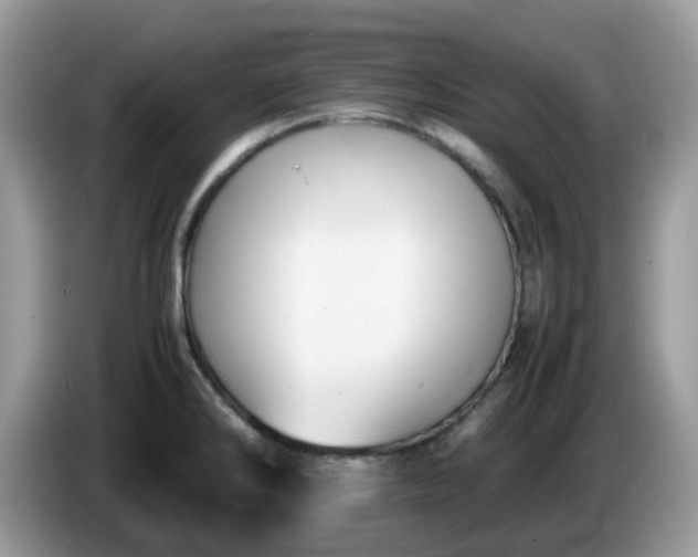 X0000086231286200704121908