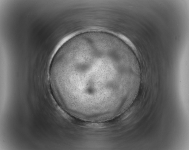 X0000086231287200704121908