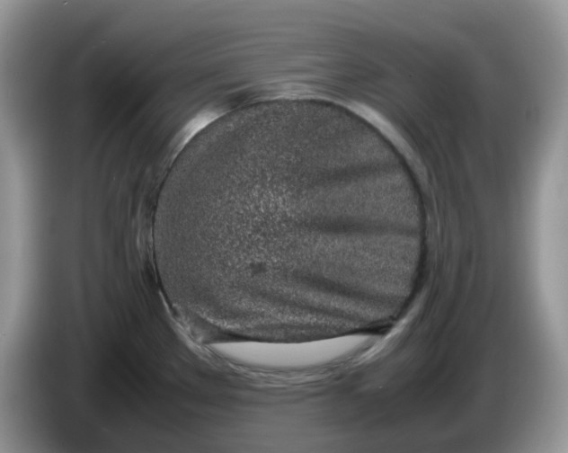 X0000086231289200704121908