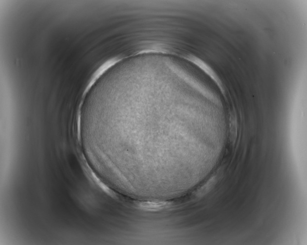 X0000086231290200704121908