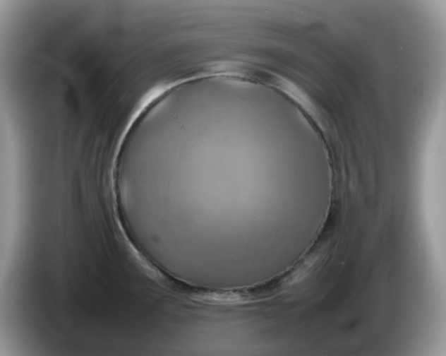 X0000086231291200704121908