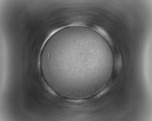 X0000086231292200704121908