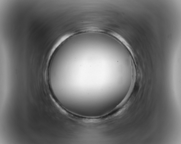 X0000086231293200704121908