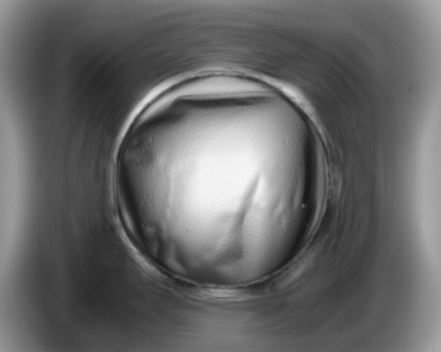 X0000086231295200704121908