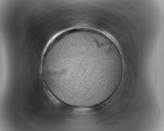 X0000086231296200704121908