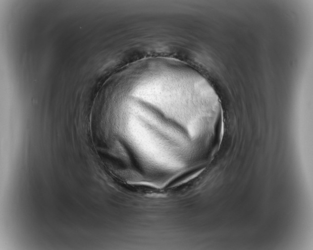 X0000086231297200704121908