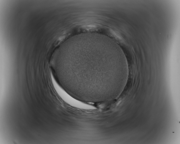 X0000086231298200704121908