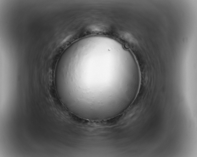 X0000086231301200704121908