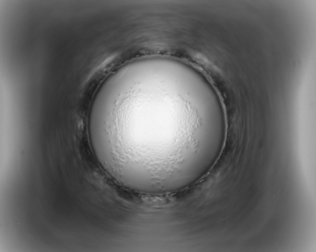 X0000086231302200704121908