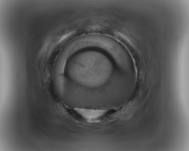 X0000086231303200704121908