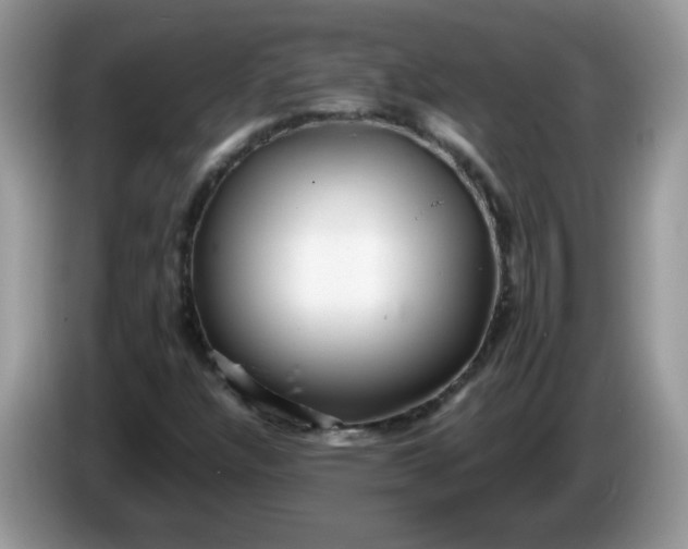 X0000086231304200704121908