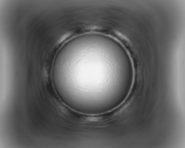 X0000086231305200704121908