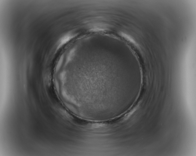 X0000086231306200704121908