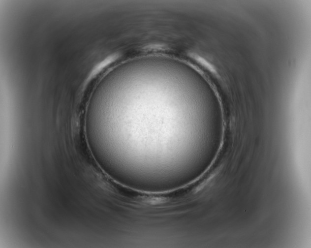 X0000086231309200704121908