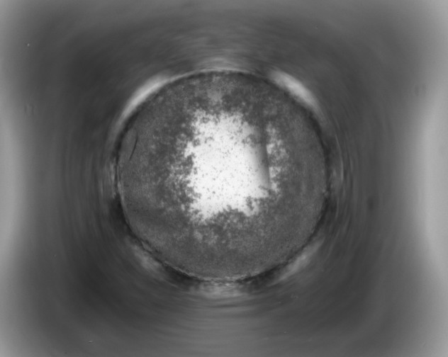 X0000086231310200704121908