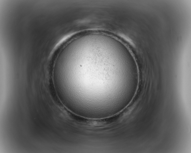 X0000086231311200704121908