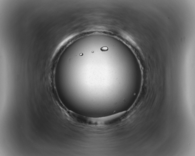 X0000086231312200704121908