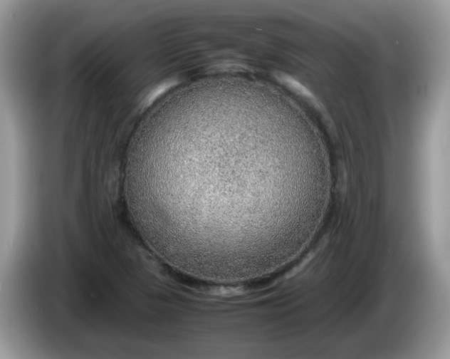 X0000086231313200704121908