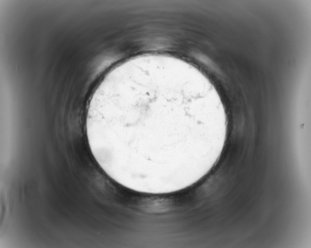 X0000086231314200704121908