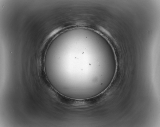 X0000086231315200704121908