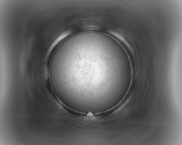 X0000086231317200704121908