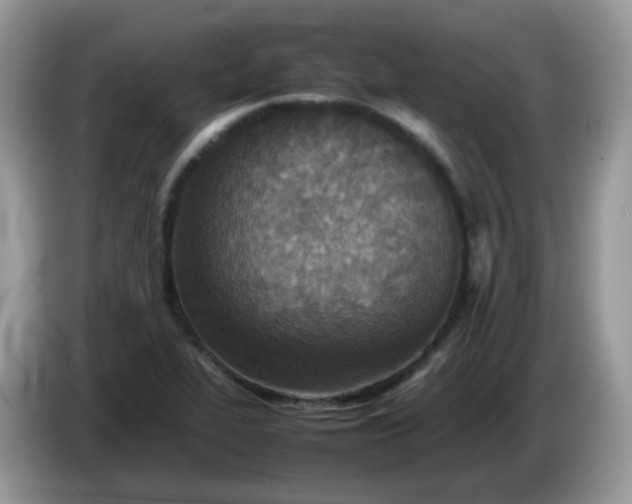 X0000086231319200704121908