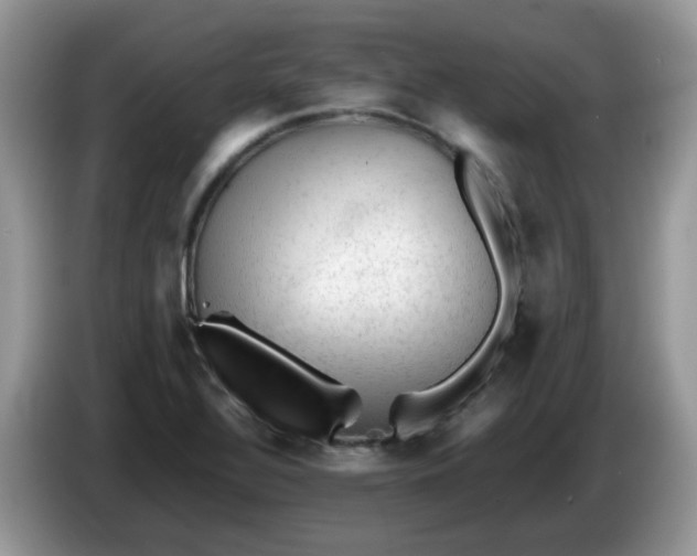 X0000086231320200704121908