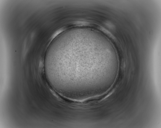 X0000086231321200704121908