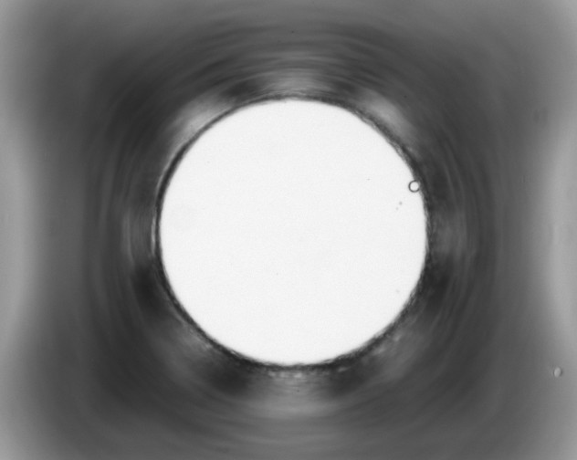 X0000086231322200704121908