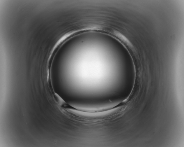 X0000086231324200704121908