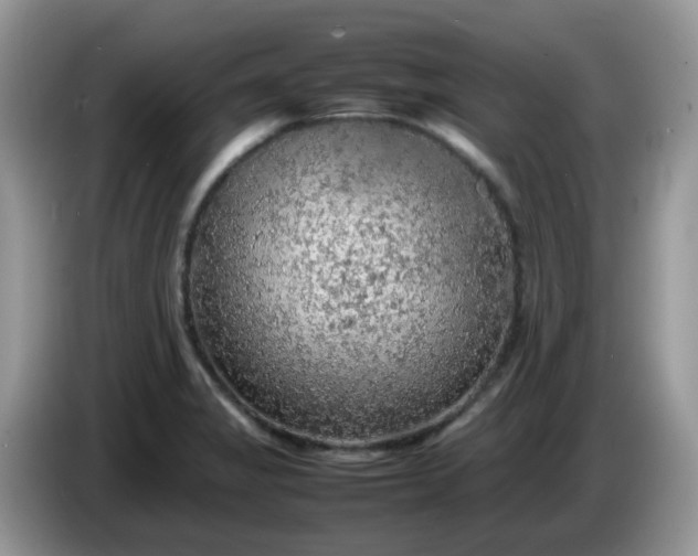 X0000086231325200704121908