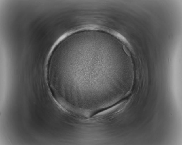 X0000086231326200704121908