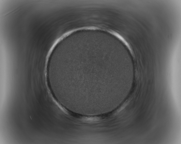 X0000086231327200704121908