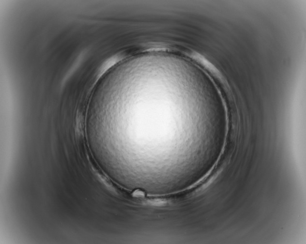 X0000086231329200704121908