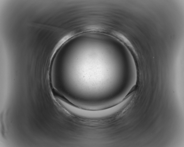 X0000086231330200704121908