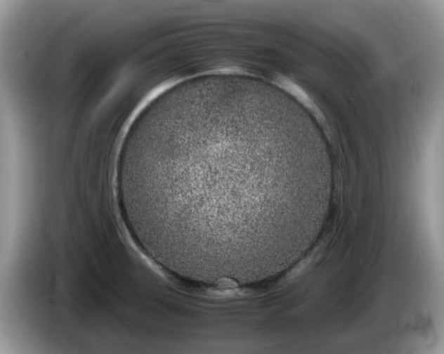 X0000086231331200704121908