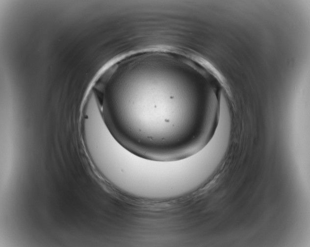 X0000086231332200704121908