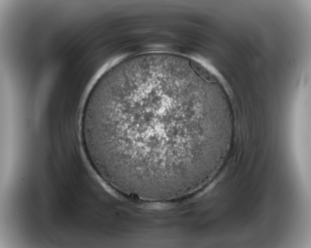 X0000086231333200704121908