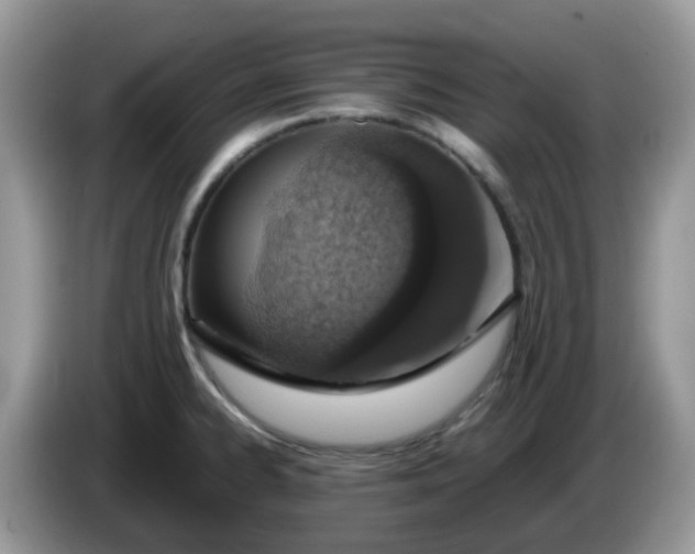 X0000086231334200704121908