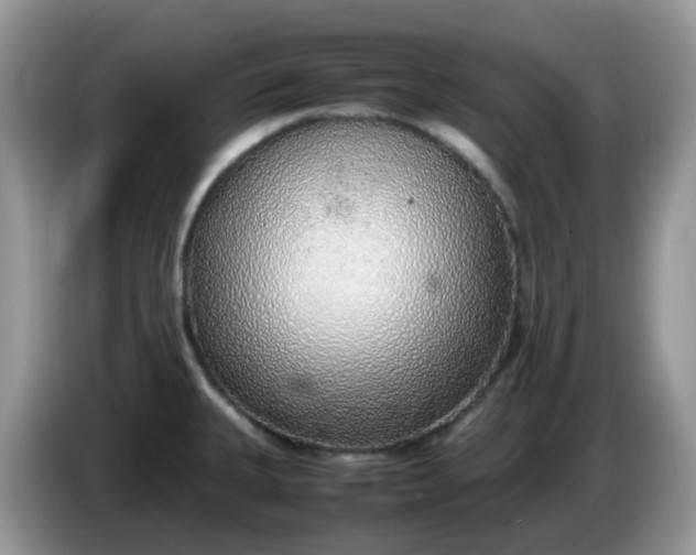 X0000086231335200704121908