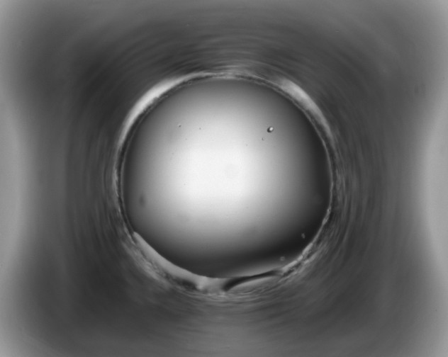 X0000086231336200704121908