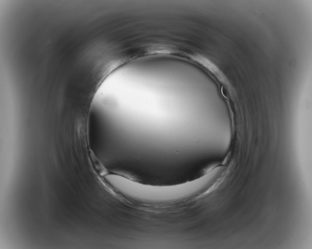 X0000086231337200704121908