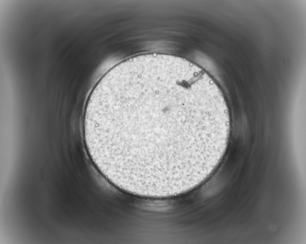 X0000086231338200704121908