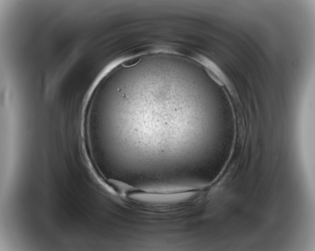 X0000086231339200704121908