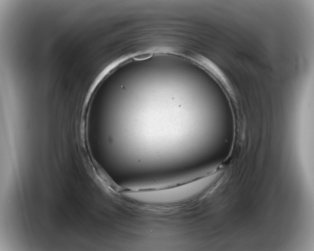 X0000086231340200704121908