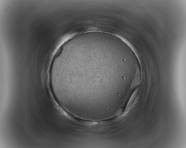 X0000086231341200704121908